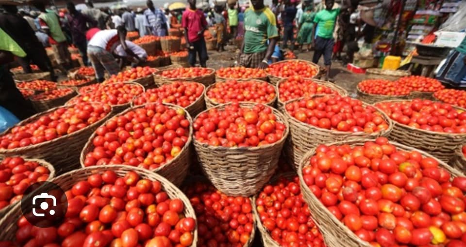 AGRICULTURE IS AFRICA'S GREATEST WEAPON AGAINST HUNGER