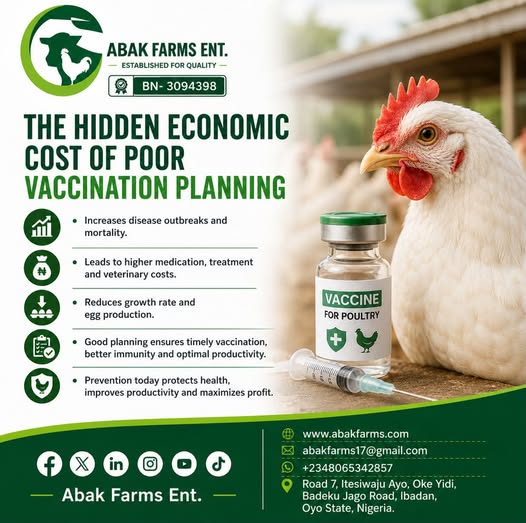 THE HIDDEN ECONOMIC COST OF POOR VACCINATION PLANNING
