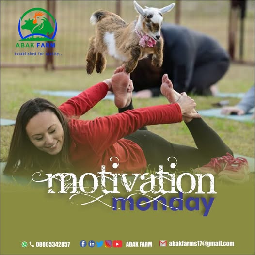 TURN IMPOSSIBILITIES INTO ACHIEVEMENTS