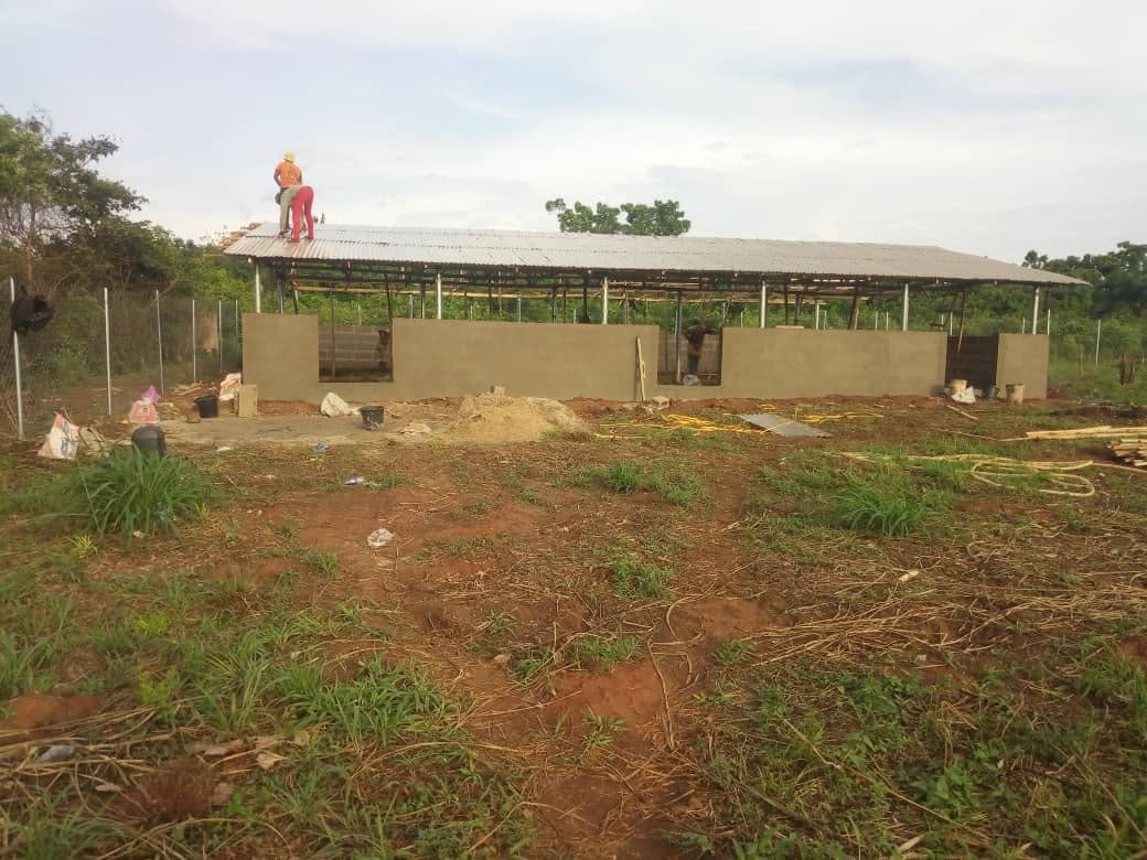 BUILDING FOR BETTER LIVESTOCK: 150-CAPACITY SHEEP AND GOAT UNIT UNDER CONSTRUCTION