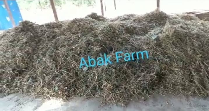 PREPARE TODAY FOR A SUCCESSFUL DRY SEASON